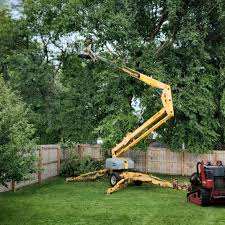 Professional  Tree Services in Garrett, IN